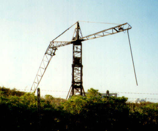 The Agony of a Crane (Anzio, Rome, 1996)